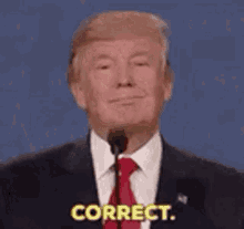 IMG_8395.gif