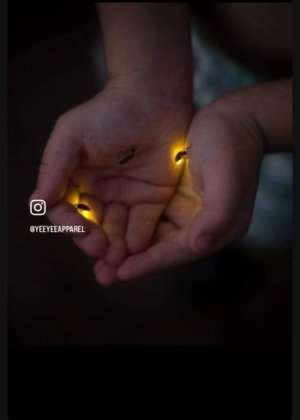 Screenshot_20250402_081312_Pinterest.jpg