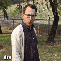 1743640199410.gif