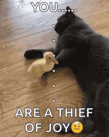 IMG_5818.gif