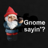 GNOMESAYIN.png