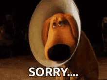 IMG_3057.gif