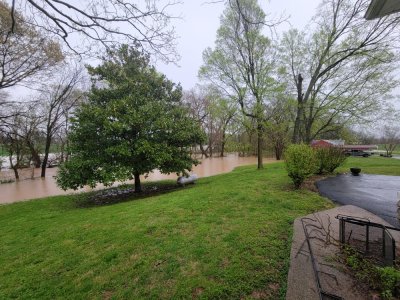 20250405_075620.jpg