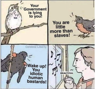 1743969539391.png