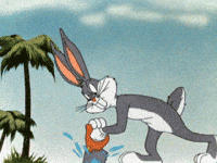 IMG_8524.gif