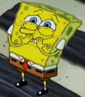 IMG_7528.gif