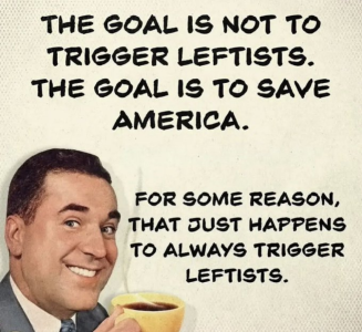 1744065554421.png
