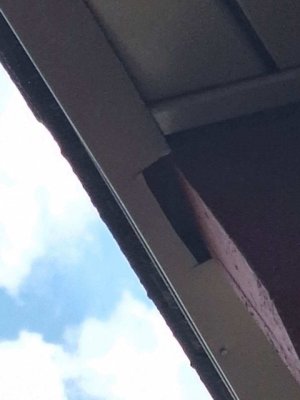 IMG_20250407_192948.jpg