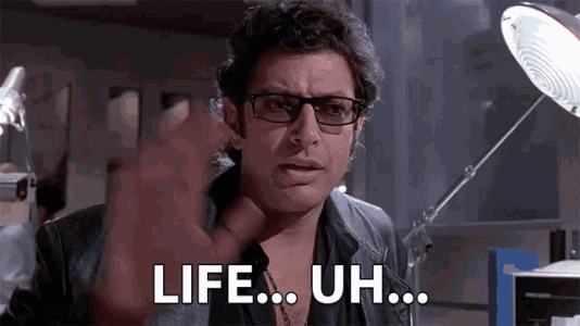 1000025453.gif 1000025453.gif