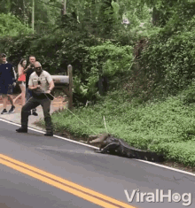 1744244398866.gif