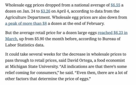Eggs.jpg