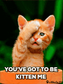 IMG_8595.gif