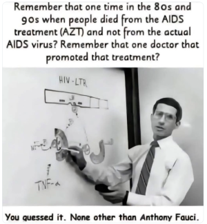 1744331288261.png