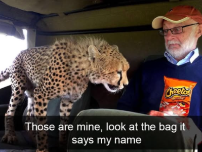 1744493003139.png