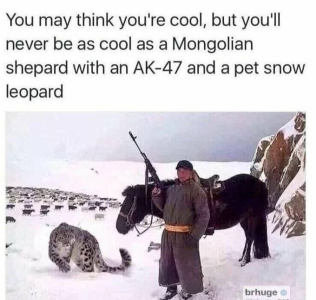 1744493779785.png