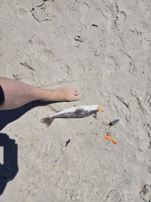 20250413_124815.jpg