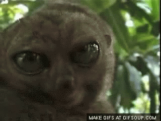 1744653233593.gif