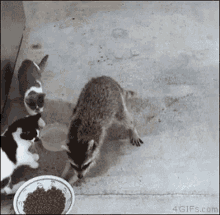 1744659564322.gif