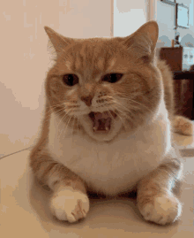 IMG_8664.gif