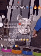 1744732405934.gif
