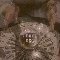 1744737558750.gif