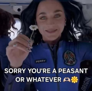 1744762282494.png