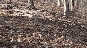 IMG_8690.gif