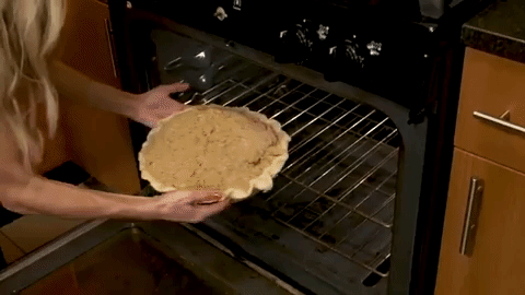 giphy-1679081967.gif