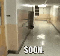 1744902341587.gif