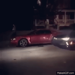 IMG_7677.gif