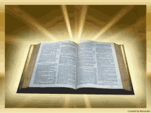 1744976874729.gif