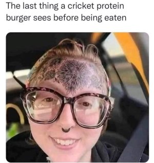 1745005368706.jpeg