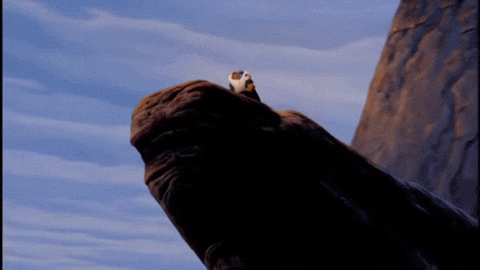 1745029880661.gif
