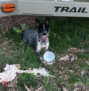 IMG_2268.jpeg