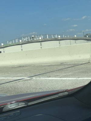 IMG_2549.jpeg