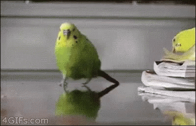 runforyourlife-run.gif