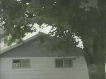 giphy-3971933000.gif