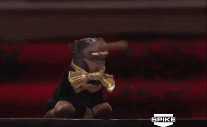 i-kid-triump-the-insult-dog-668380028.gif