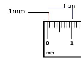 ruler8483129513022811411.jpg