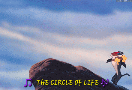 20250422_192530.gif