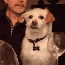 1745366477722.gif