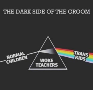 woke teachers trans kids.jpg