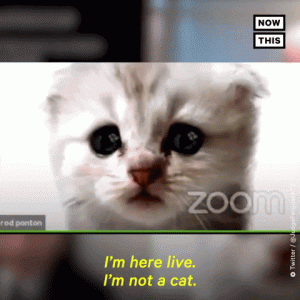 1745433786747.gif