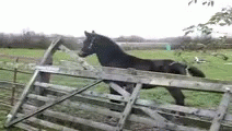 1745536291278.gif