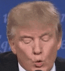 IMG_7477.gif