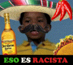 mexican-thats-racist-2647473574.gif