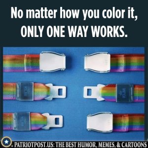 1000003016.jpg
