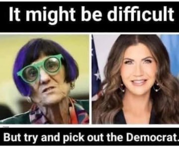 pick out the democrat.jpg
