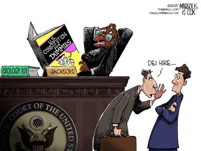 MC-ScotusDEI_042425-thm-800x0.jpg