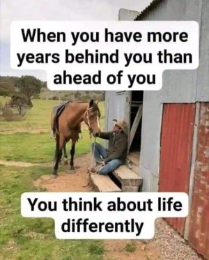 a81d86e865e59db9f05514fa4cdbcae9.jpg